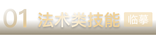 法术类技能