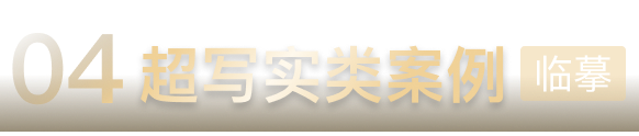 超写实类案例